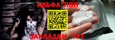 ешки Кингисепп