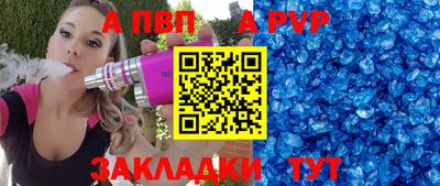ешки Кингисепп